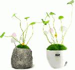 Лампа Аватар